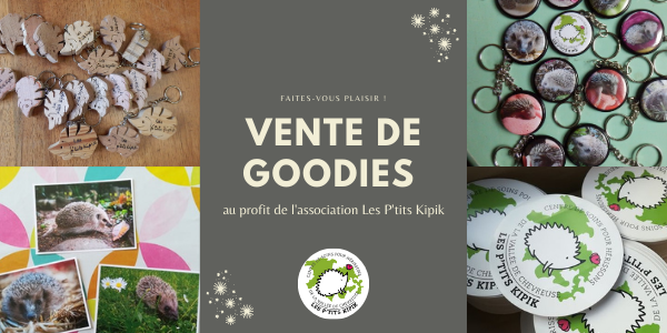 vente de goodies